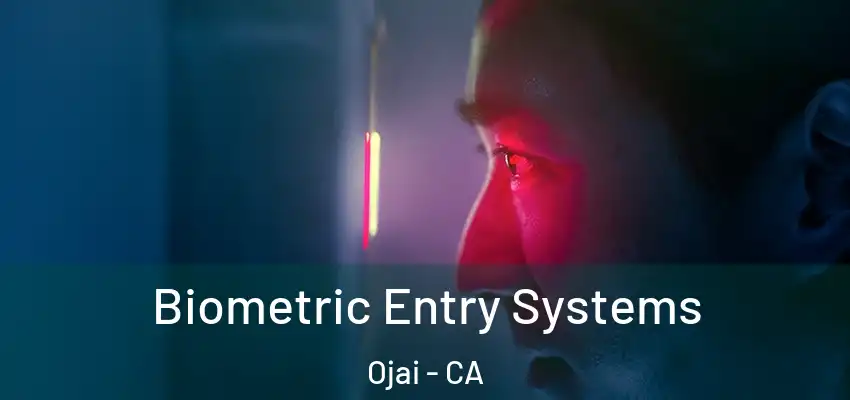  Biometric Entry Systems Ojai - CA